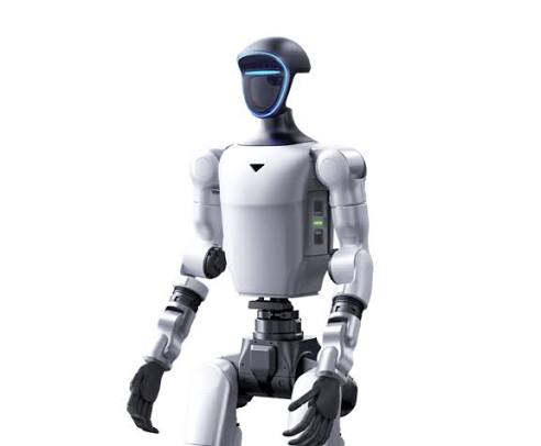 Humanoid robot
